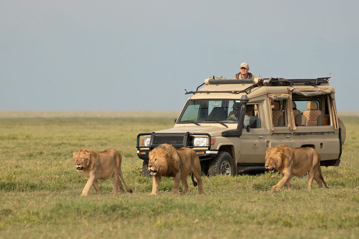 Travel Styles Tanzania