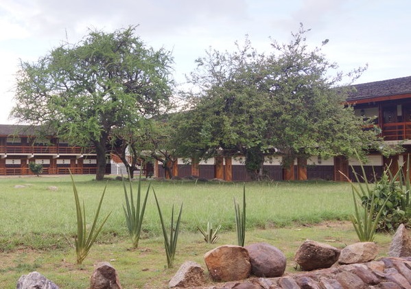 Seronera Wildlife Lodge