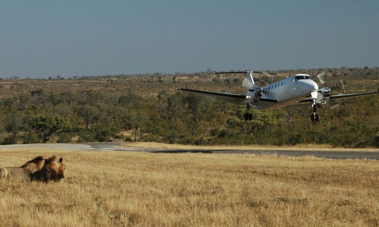 Landing At Serengeti National Park