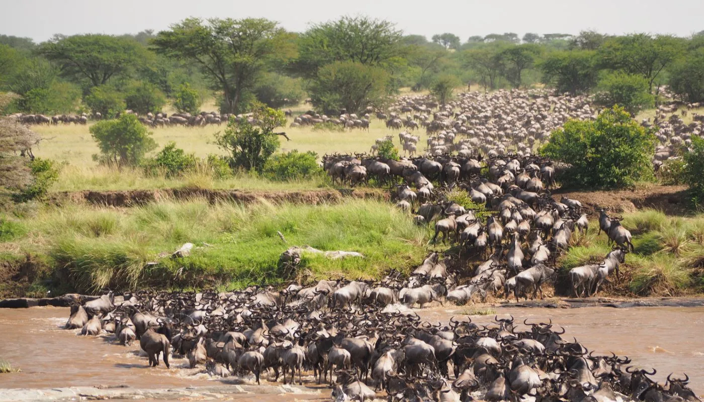 6 Days Tanzania Safari