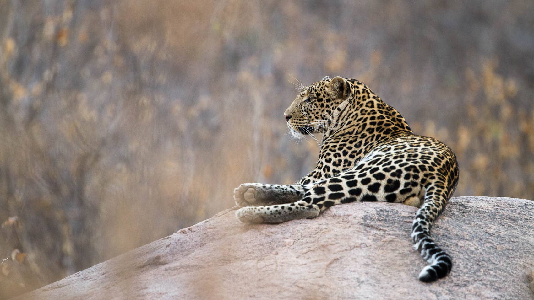 7 Days Tanzania Safari