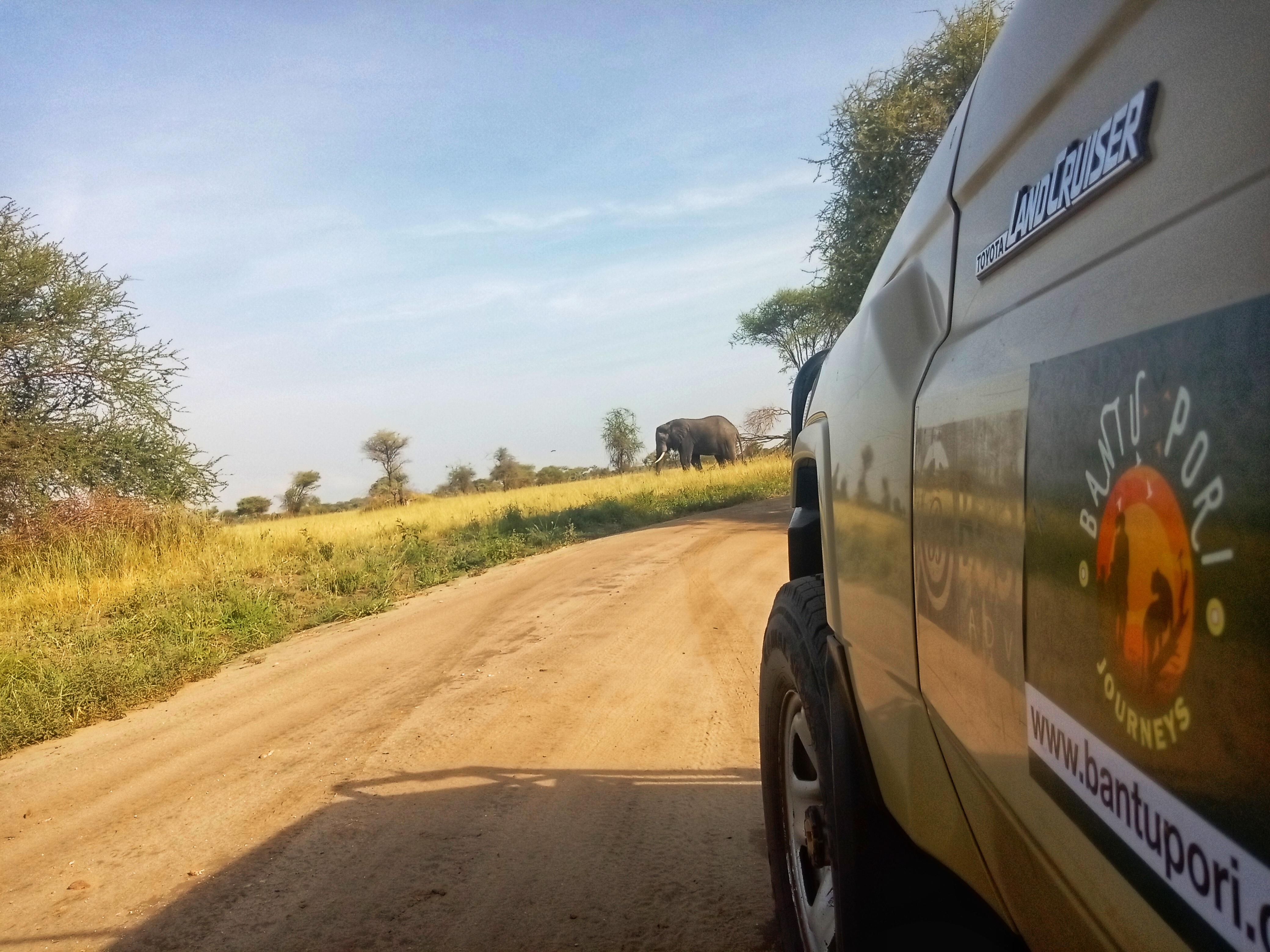 Tarangire National Park