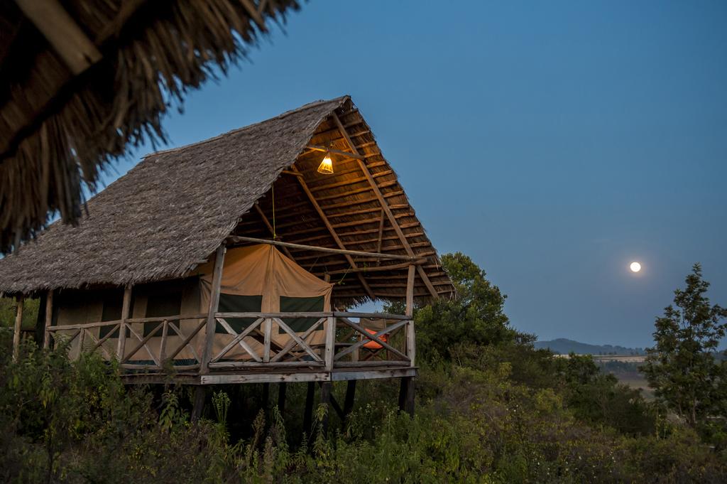 Lodges In Tanzania