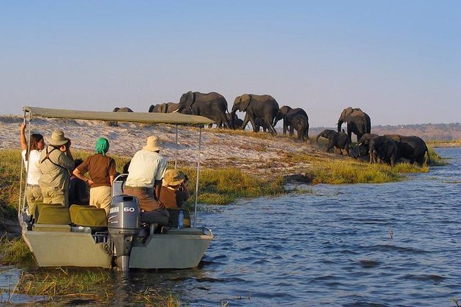 Boat Safari Tanzania