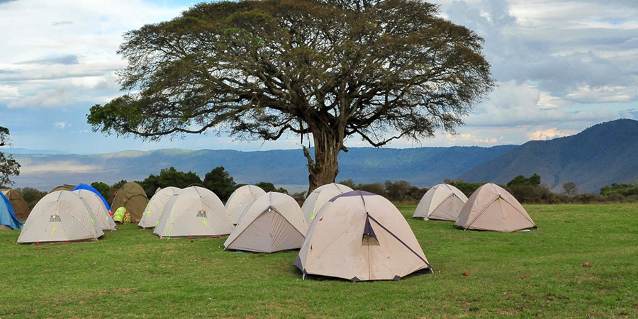 5 Days Northern Tanzania Safari