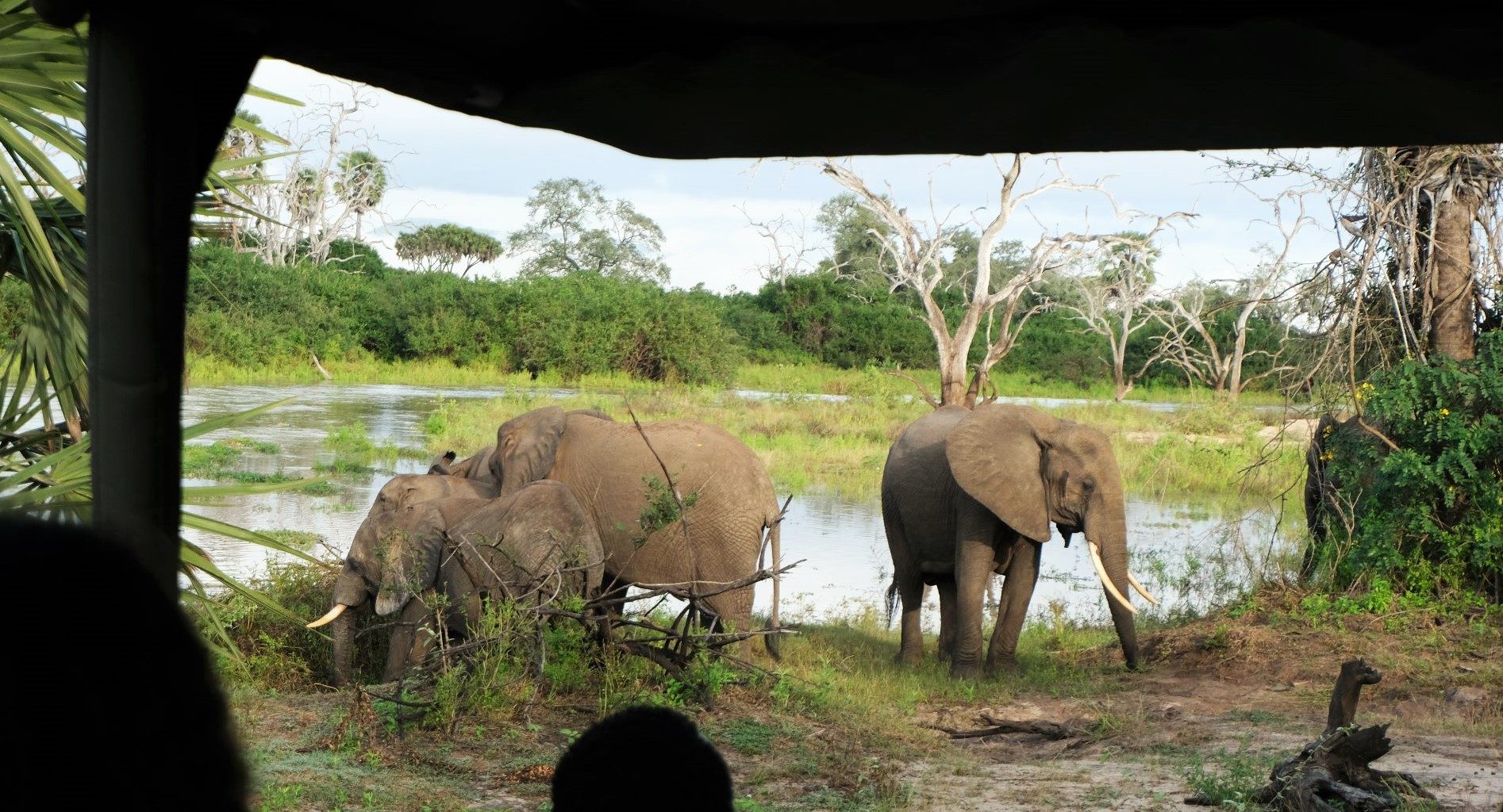 Travel Styles Tanzania