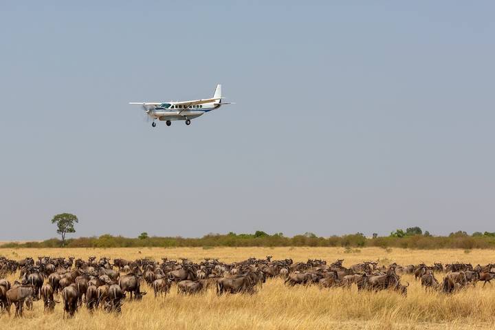 Flight Back to Arusha, Dar, or Zanzibar