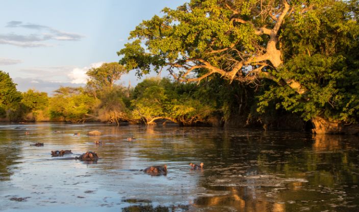 Grumeti River