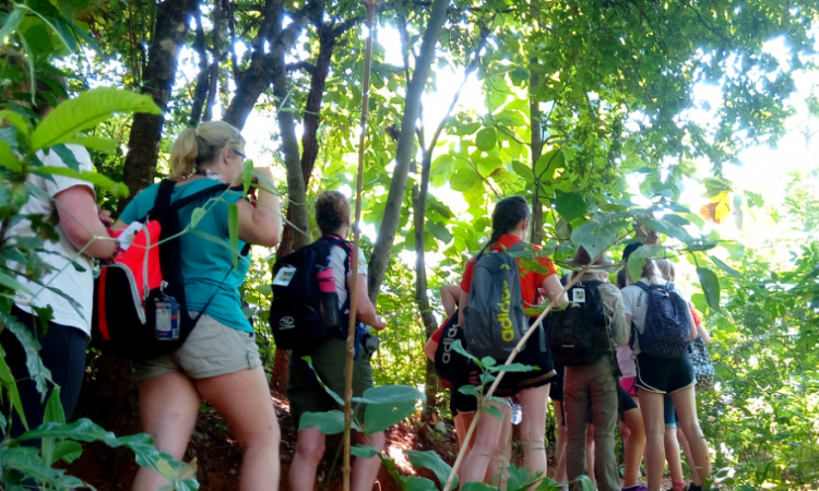 Trail Hikking In The Park