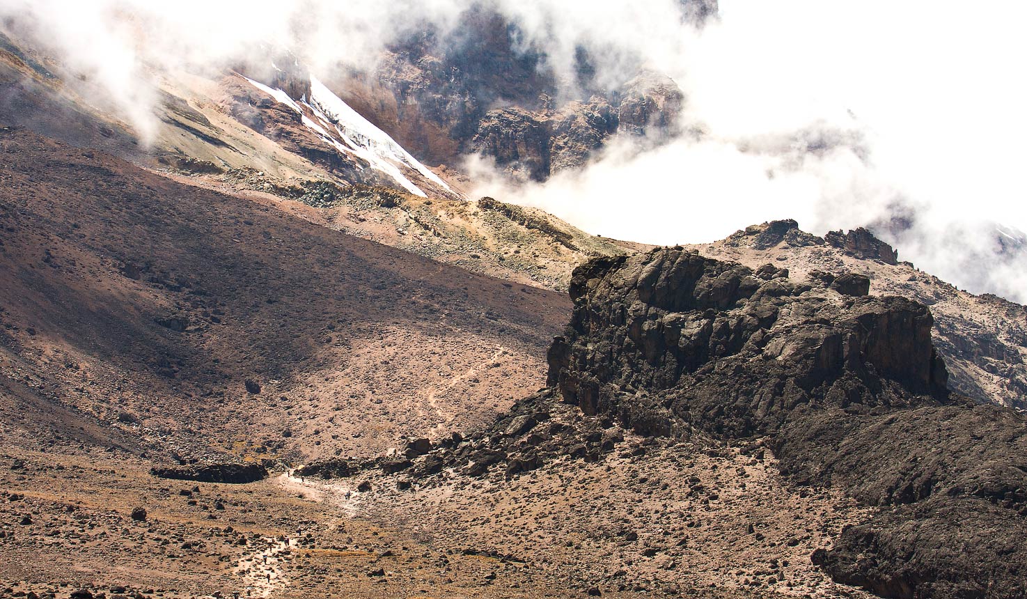 Alpine Zone Kilimanjaro