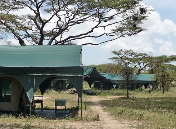 Lodges In Tanzania