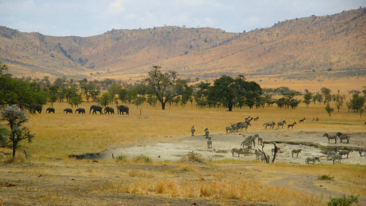 Lobo Valley In Serengeti National Park