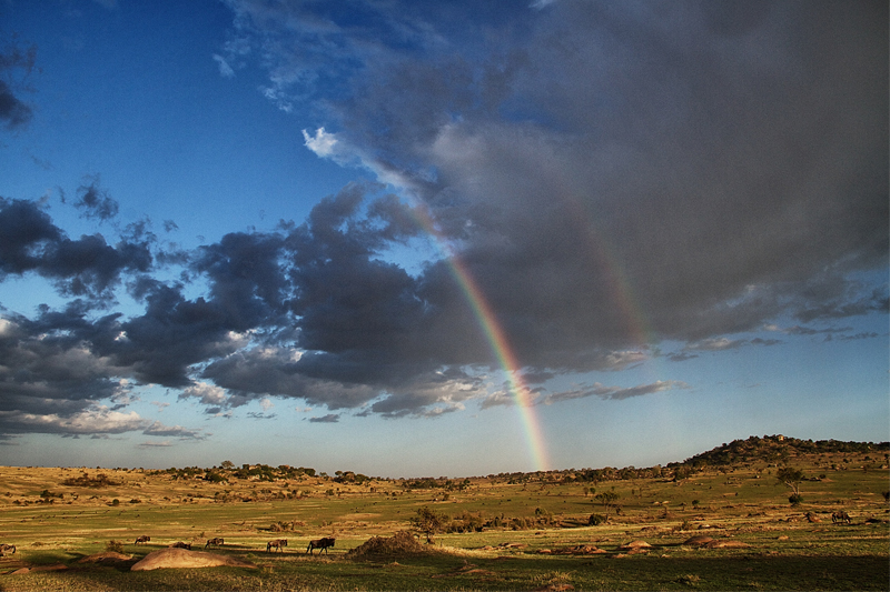 Rain Season Western Serengeti