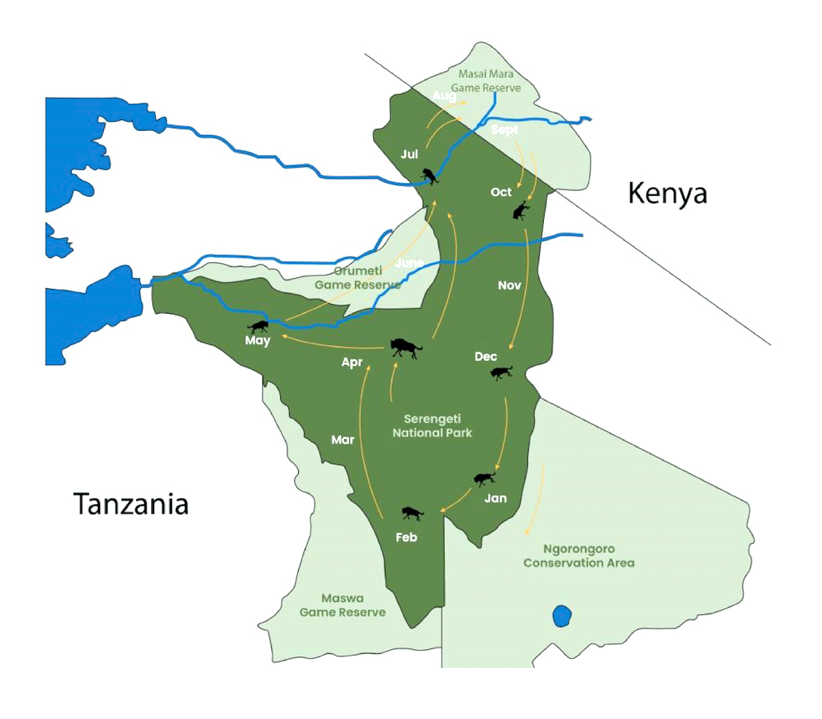 Serengeti Migration Safari Wildlife Sightings