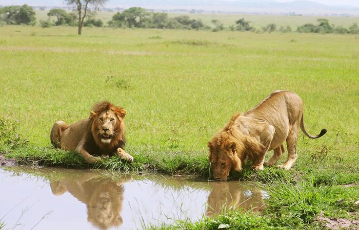 Travel Styles Tanzania