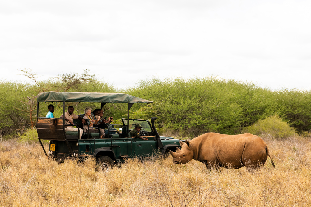 Game Drive Inside The Park
