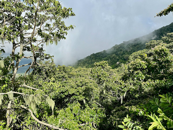 Rainy Season