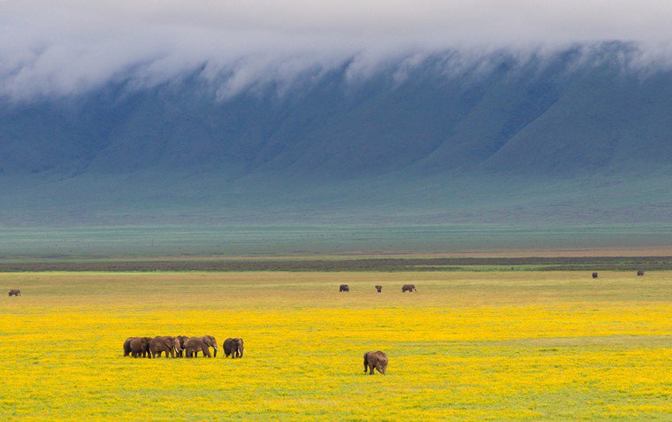 Ngorongoro Crater