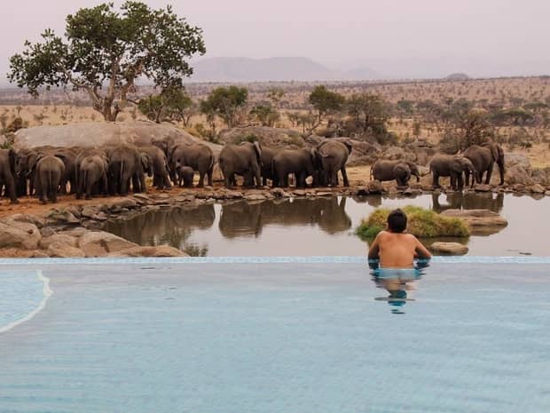 Lodges In Tanzania