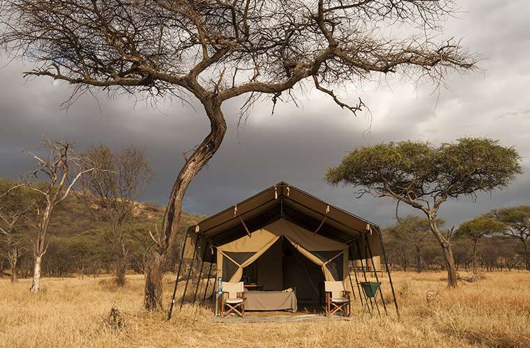 Lodges In Tanzania
