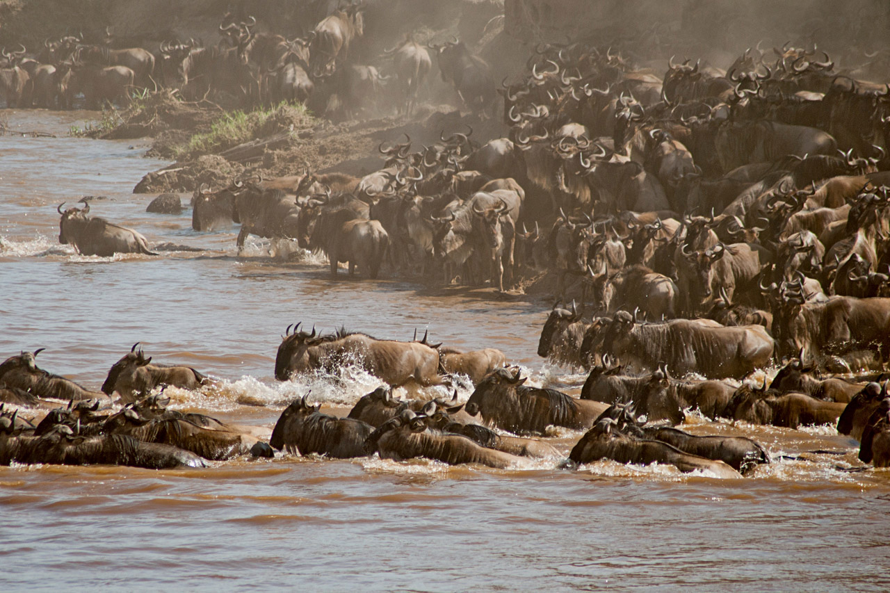 Serengeti National Park
