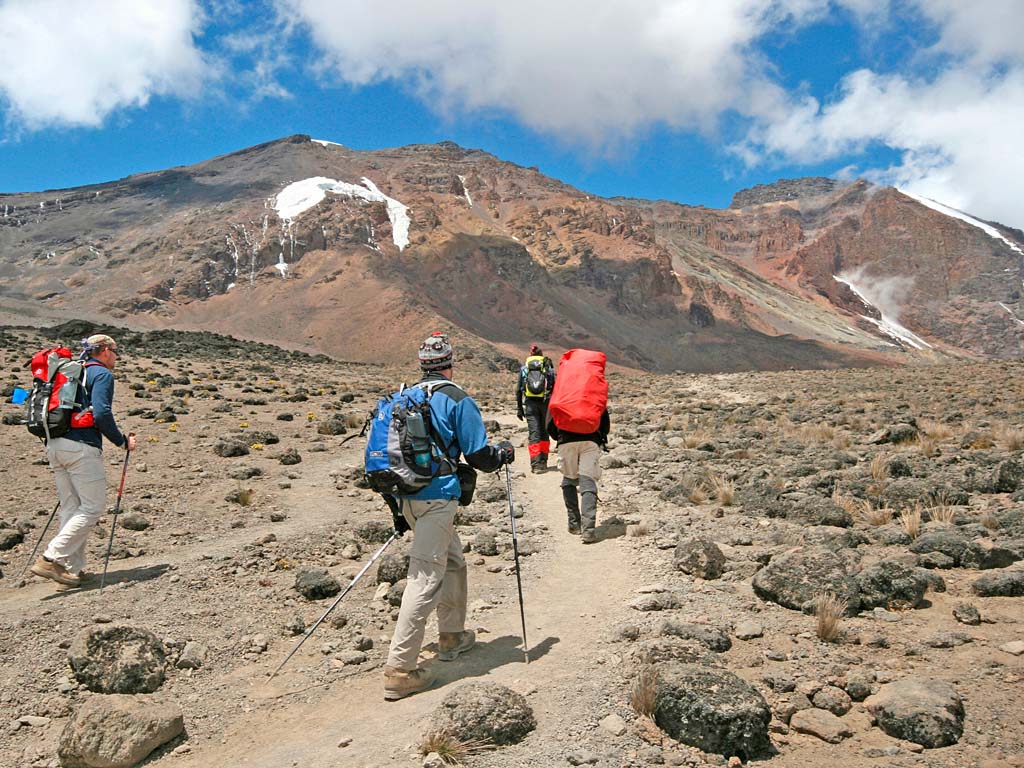 7 Days Lemosho Route