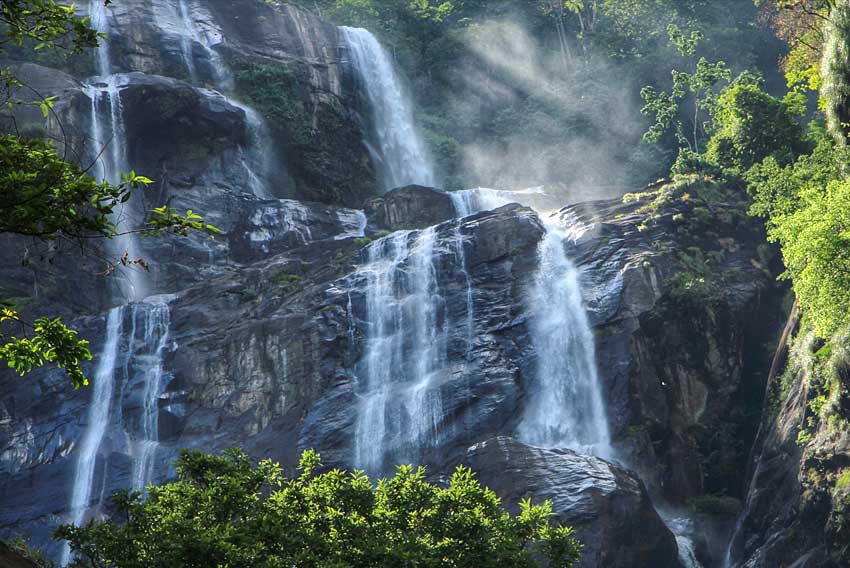 Mikumi NP & Udzungwa Mountains