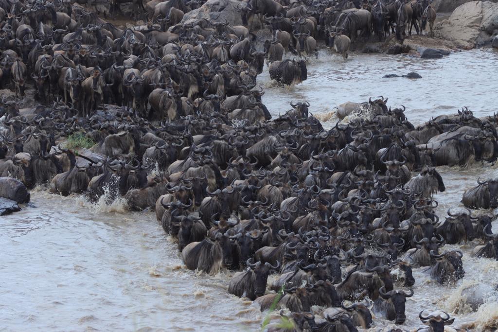 River Crossing Event