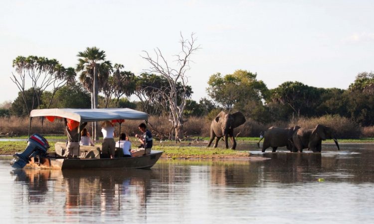 Nyerere NP & Mikumi NP