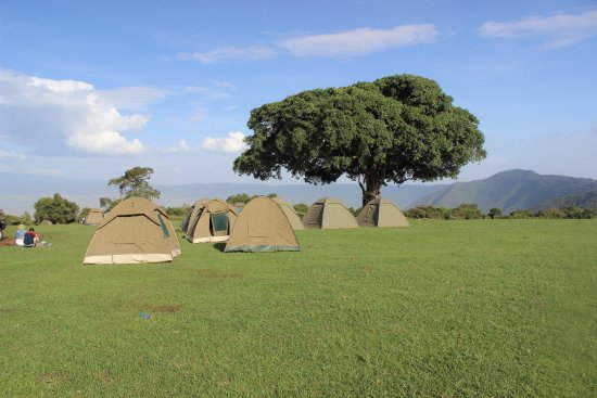 Simba Campsite in Ngorongoro Area