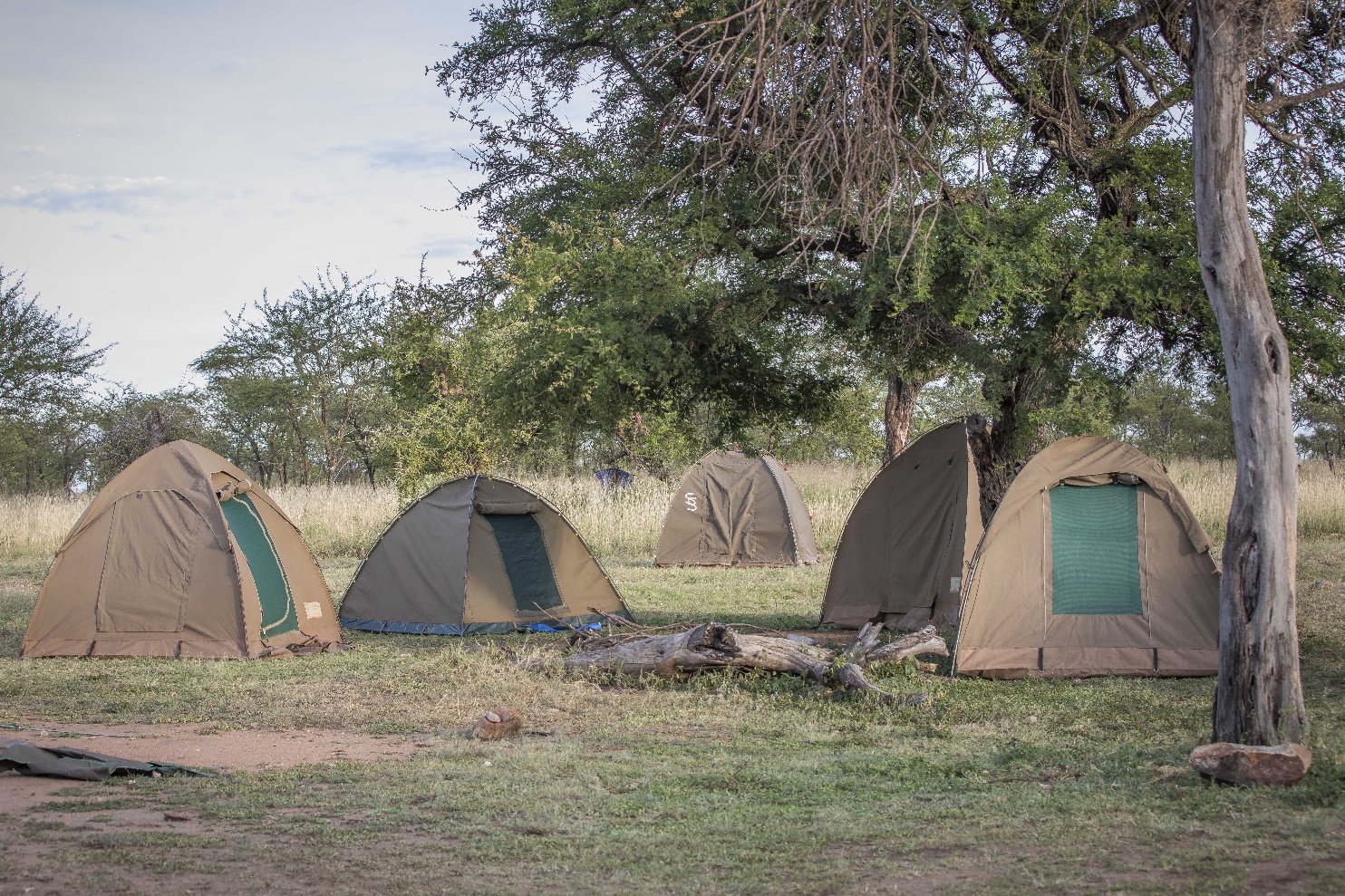 3 Days Northern Tanzania Safari