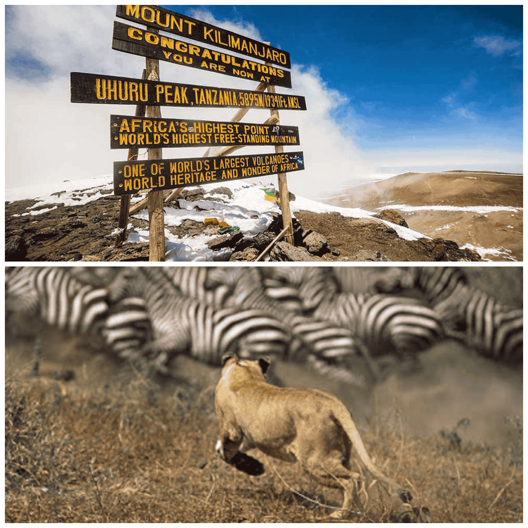 Kilimanjaro & Safari
