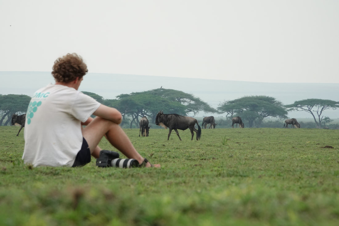 Migration Walking Safari
