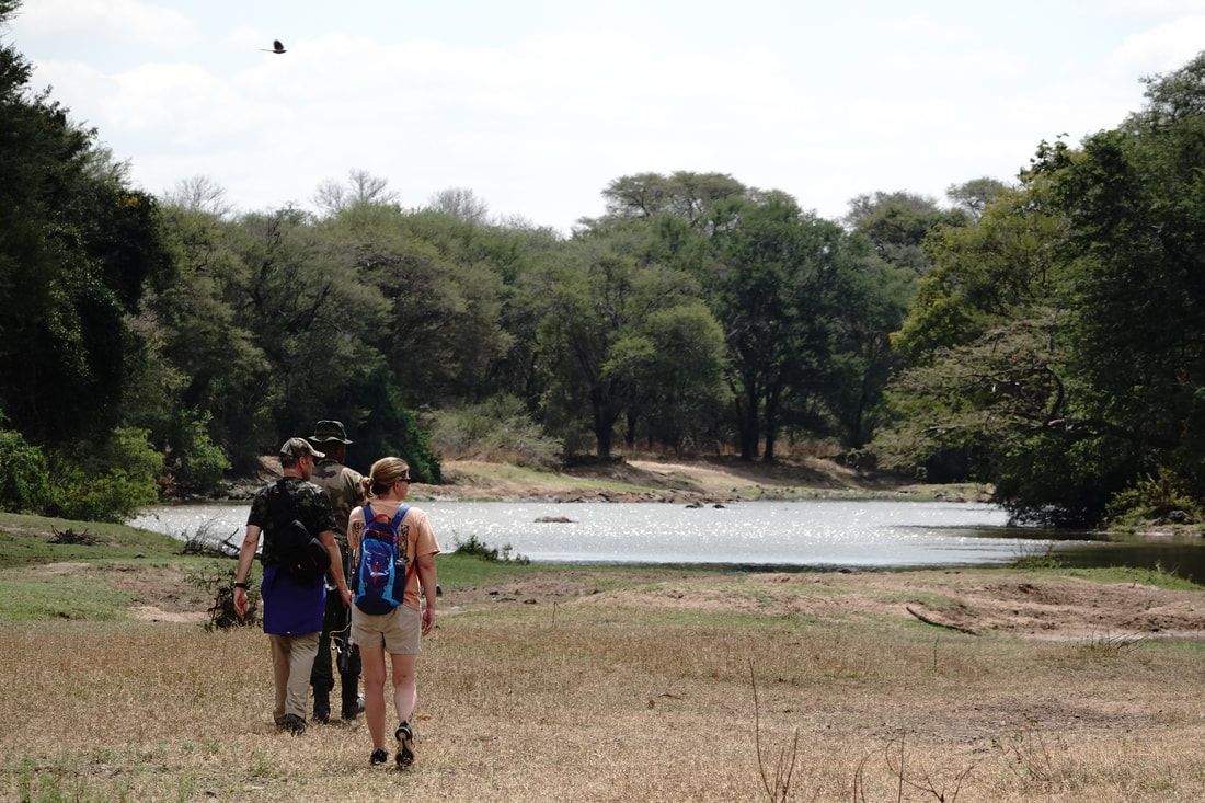 Ruaha Armed Ranger With Guests