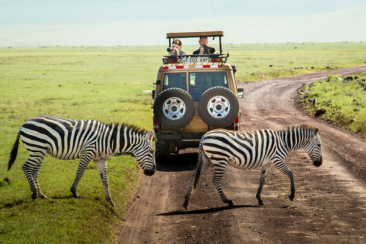 Tanzania Tour Booking Experience