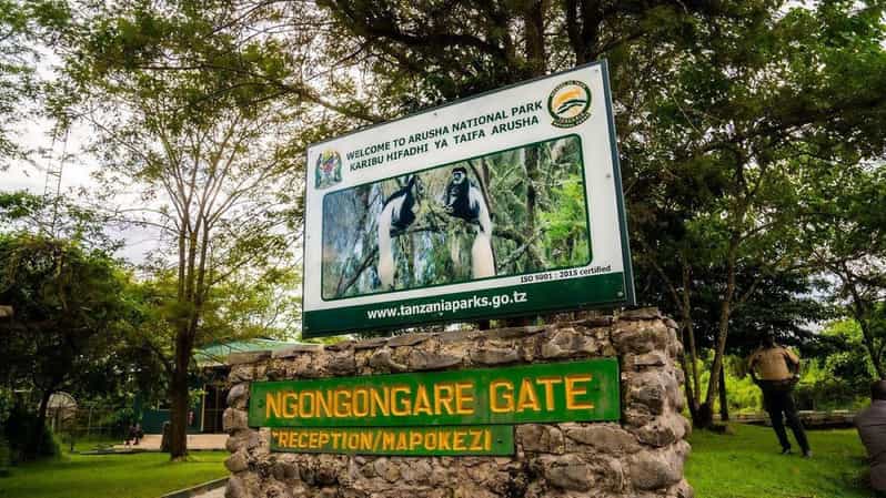 Useful Skateboarding Tips For Beginners