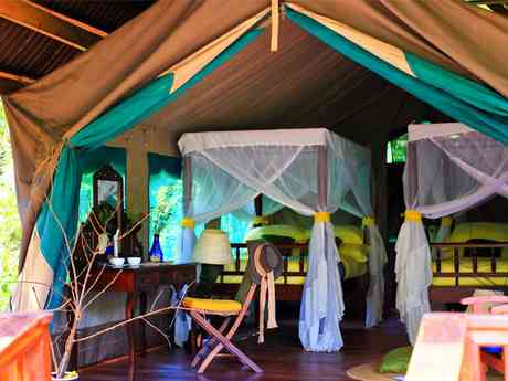 Lodges In Tanzania