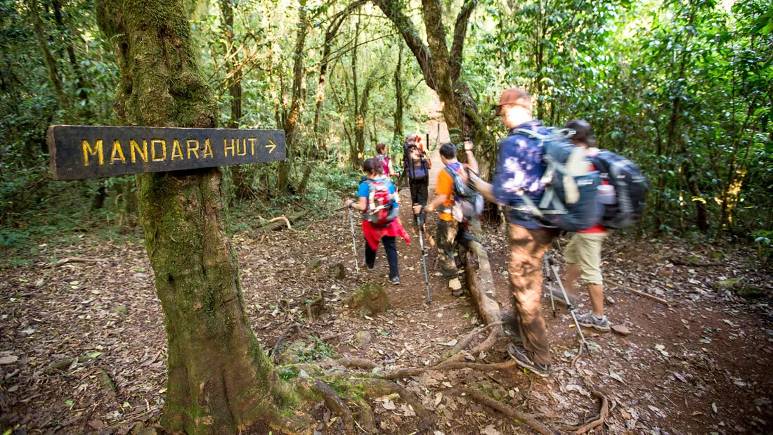 Mount Kilimanjaro Day Hike
