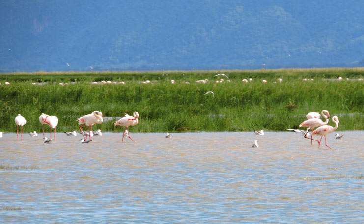 Lake Manyara National Park