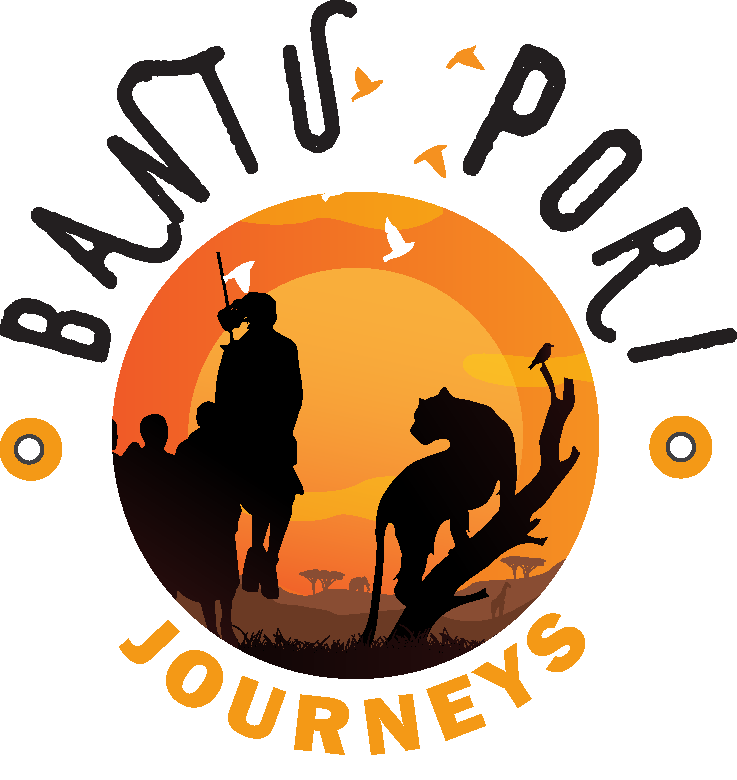 logo-footer