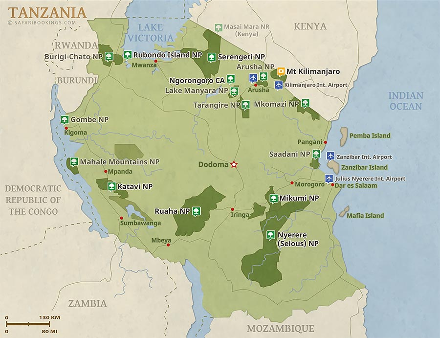 Tanzania Top Destinations - Serengeti, Zanzibar & More