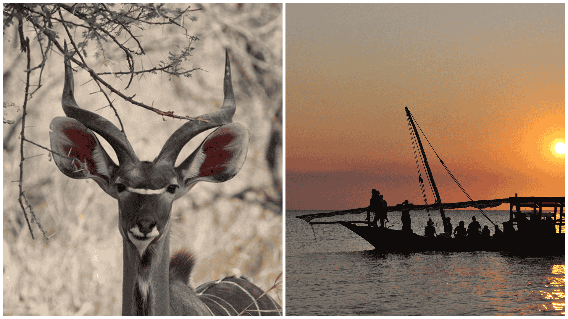 Zanzibar & Mikumi Safari