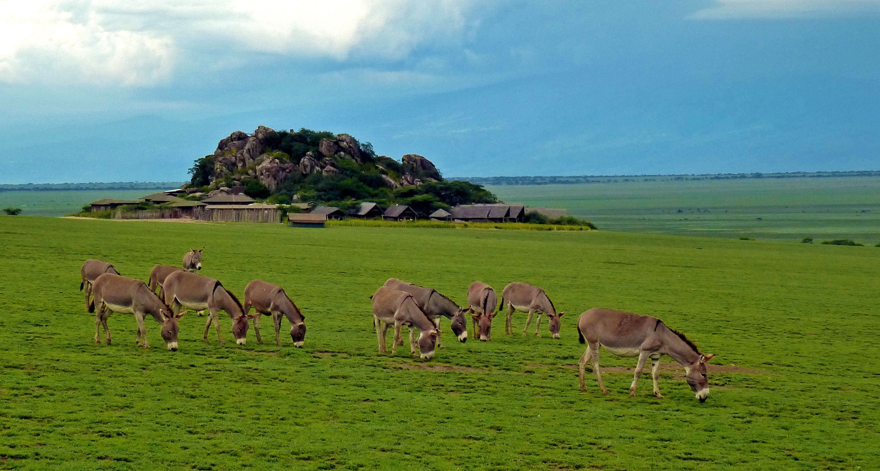 Olduvai Camp