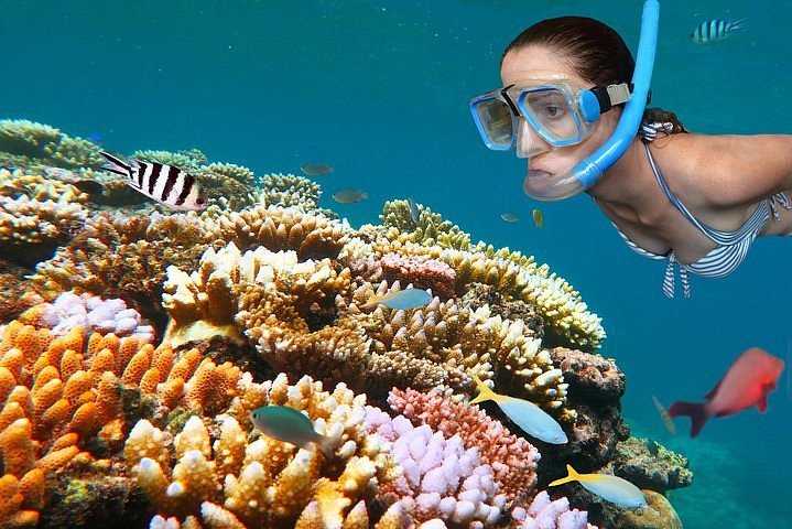 World-Class Diving and Snorkeling