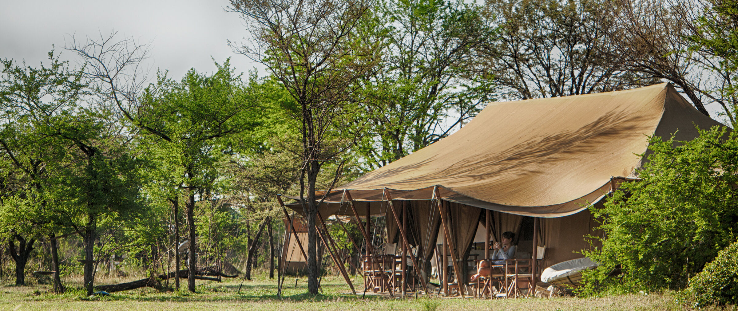 Alex Walker's Serian Serengeti