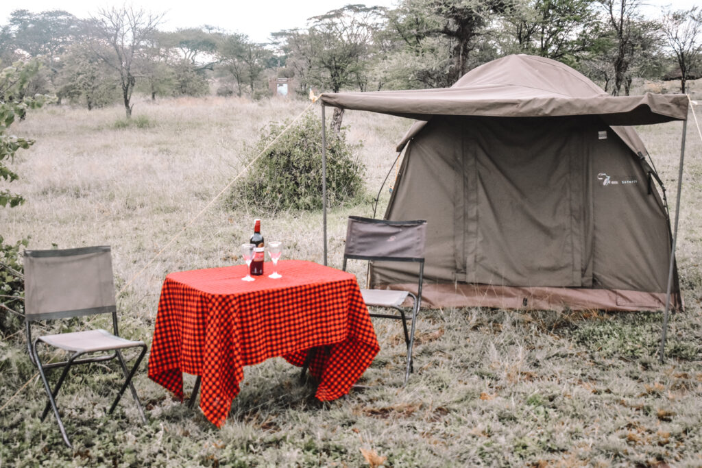 Camping Safari in Serengeti