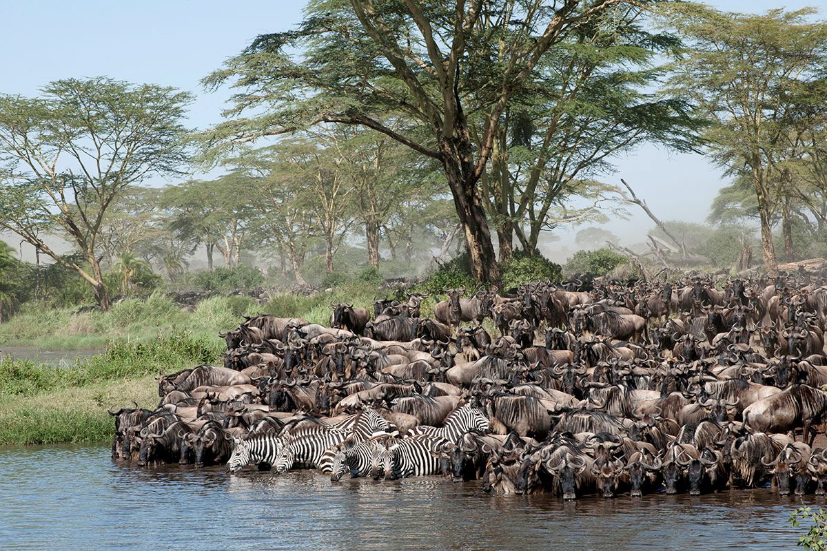 Our Featured Itineraries
