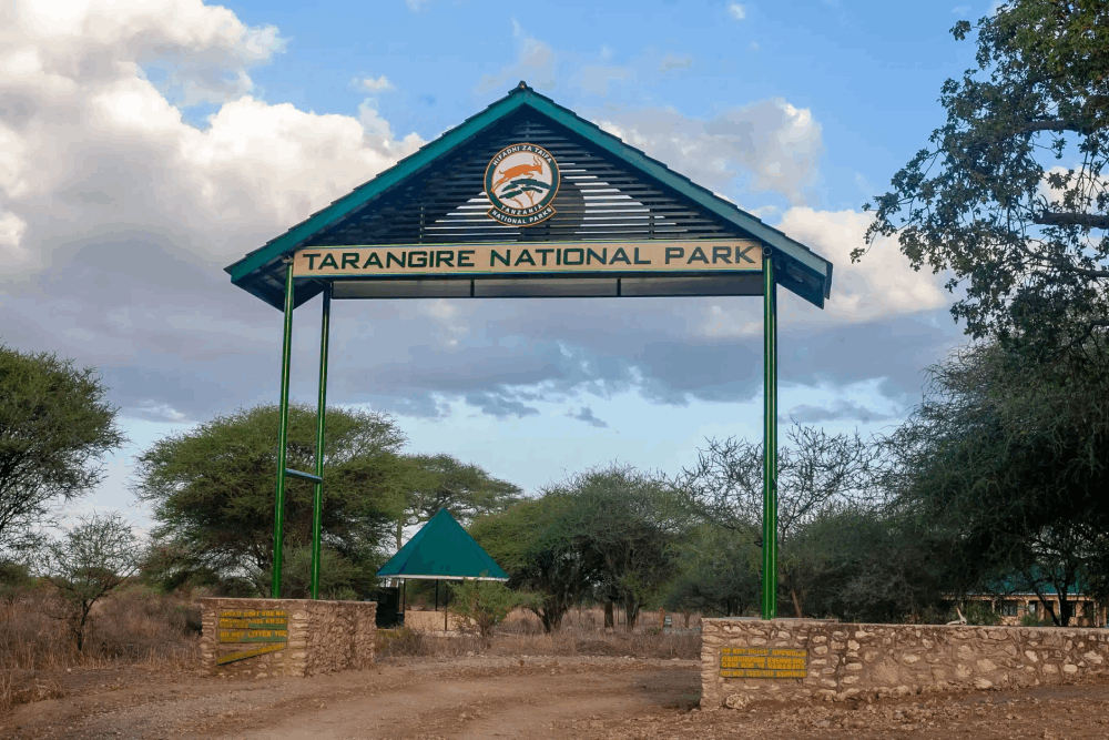2 Days Tarangire Only Safari