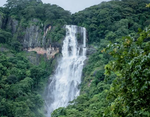 Waterfalls of Udzungwa