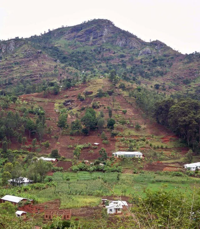Mountaineering Usambara